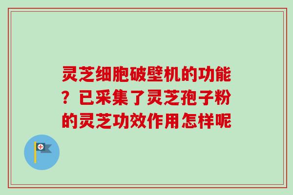 灵芝细胞破壁机的功能？已采集了灵芝孢子粉的灵芝功效作用怎样呢