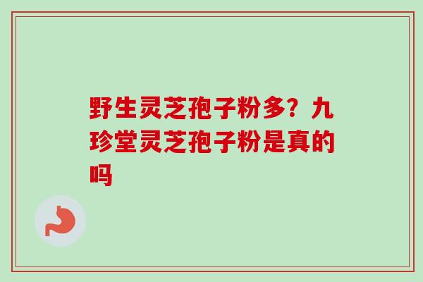 野生灵芝孢子粉多？九珍堂灵芝孢子粉是真的吗