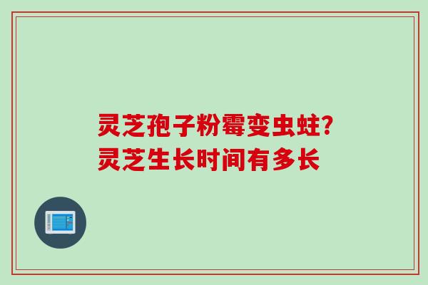 灵芝孢子粉霉变虫蛀?灵芝生长时间有多长 灵芝孢子粉霉变虫蛀?灵芝生长时间有多长