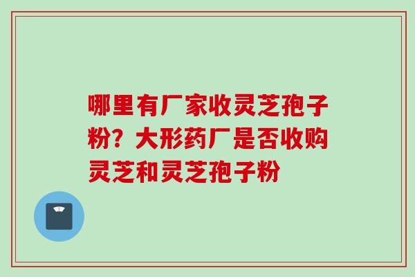 哪里有厂家收灵芝孢子粉？大形药厂是否收购灵芝和灵芝孢子粉