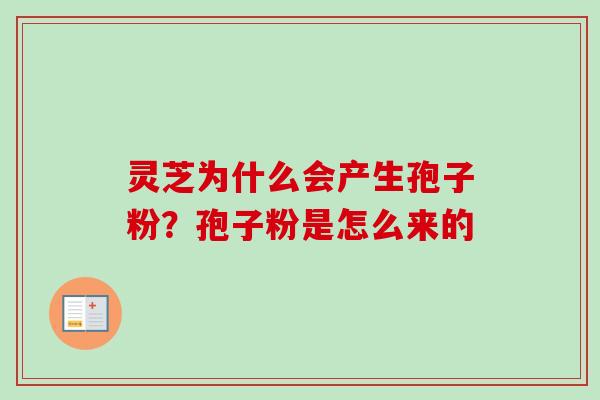 灵芝为什么会产生孢子粉？孢子粉是怎么来的