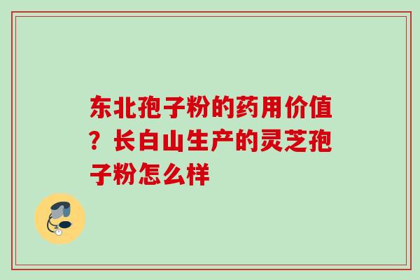 东北孢子粉的药用价值？长白山生产的灵芝孢子粉怎么样