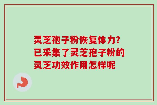 灵芝孢子粉恢复体力？已采集了灵芝孢子粉的灵芝功效作用怎样呢