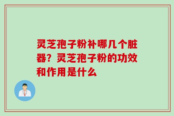 灵芝孢子粉补哪几个脏器？灵芝孢子粉的功效和作用是什么
