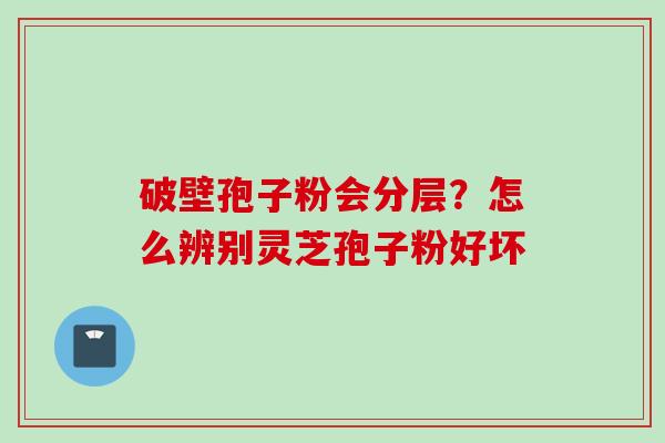 破壁孢子粉会分层？怎么辨别灵芝孢子粉好坏