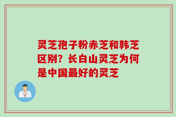 灵芝孢子粉赤芝和韩芝区别？长白山灵芝为何是中国最好的灵芝