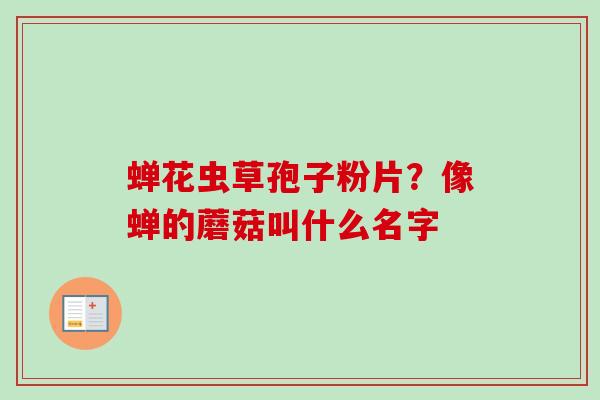 蝉花虫草孢子粉片？像蝉的蘑菇叫什么名字