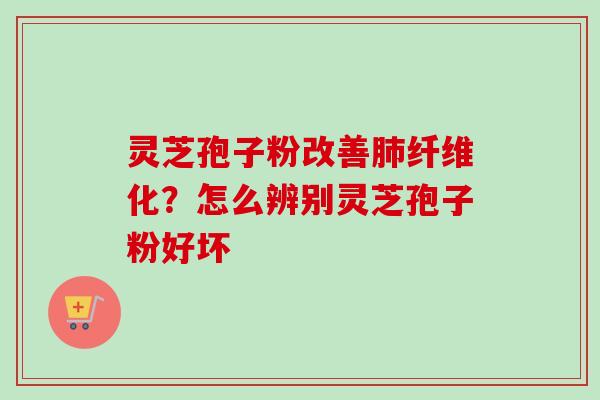 灵芝孢子粉改善肺纤维化？怎么辨别灵芝孢子粉好坏