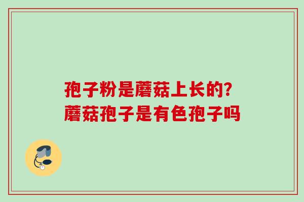 孢子粉是蘑菇上长的？蘑菇孢子是有色孢子吗