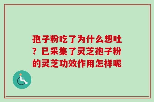 孢子粉吃了为什么想吐？已采集了灵芝孢子粉的灵芝功效作用怎样呢