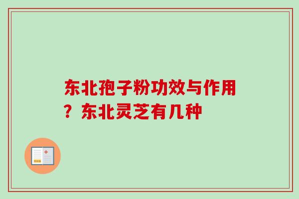 东北孢子粉功效与作用?东北灵芝有几种 东北孢子粉功效与作用?东北灵芝有几种