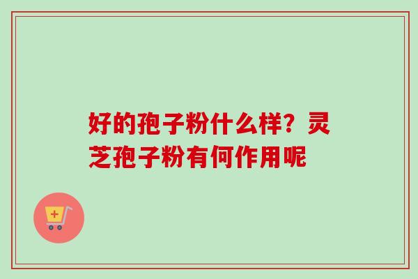 好的孢子粉什么样？灵芝孢子粉有何作用呢