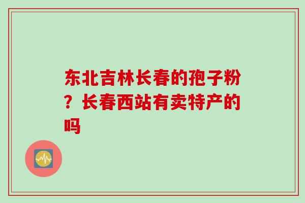 东北吉林长春的孢子粉？长春西站有卖特产的吗