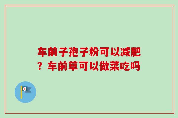 车前子孢子粉可以减肥？车前草可以做菜吃吗