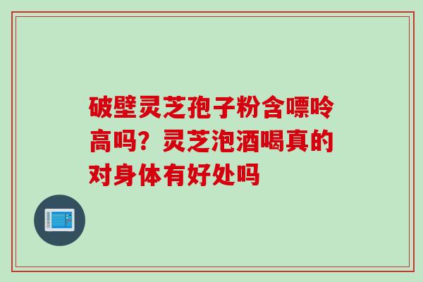 破壁灵芝孢子粉含嘌呤高吗？灵芝泡酒喝真的对身体有好处吗