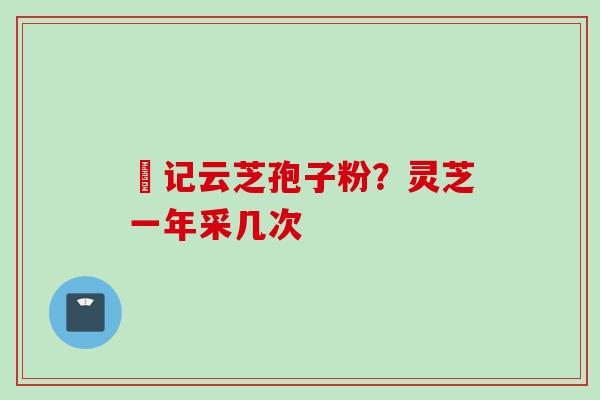 哖记云芝孢子粉？灵芝一年采几次