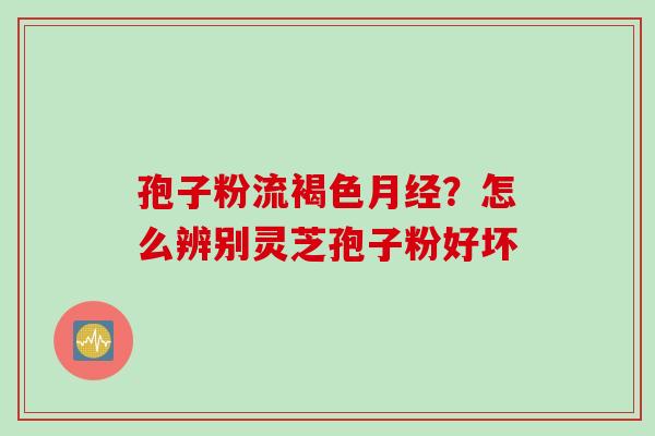 孢子粉流褐色月经？怎么辨别灵芝孢子粉好坏