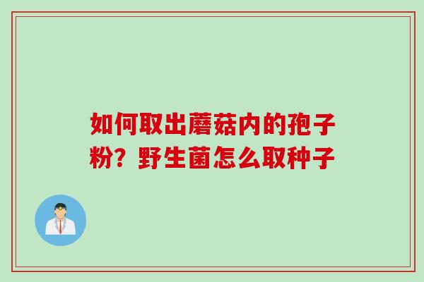 如何取出蘑菇内的孢子粉？野生菌怎么取种子