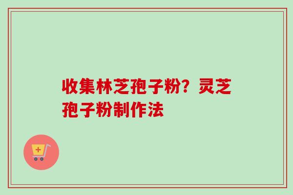 收集林芝孢子粉？灵芝孢子粉制作法