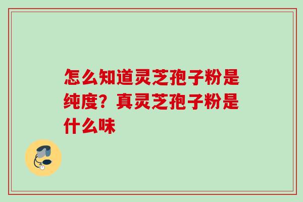 怎么知道灵芝孢子粉是纯度？真灵芝孢子粉是什么味