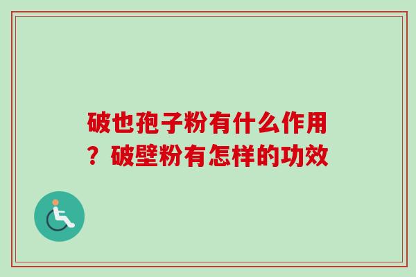 破也孢子粉有什么作用？破壁粉有怎样的功效