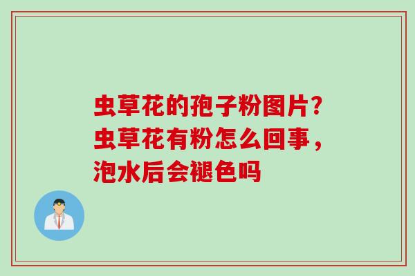 虫草花的孢子粉图片？虫草花有粉怎么回事，泡水后会褪色吗