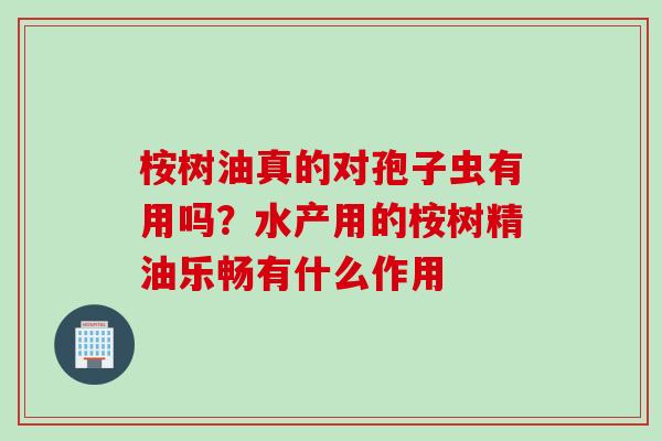 桉树油真的对孢子虫有用吗？水产用的桉树精油乐畅有什么作用