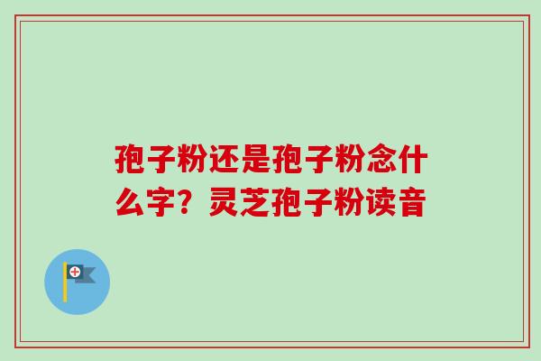 孢子粉还是孢子粉念什么字？灵芝孢子粉读音
