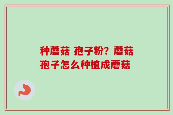 种蘑菇 孢子粉？蘑菇孢子怎么种植成蘑菇