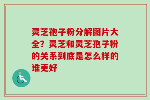 灵芝孢子粉分解图片大全？灵芝和灵芝孢子粉的关系到底是怎么样的谁更好