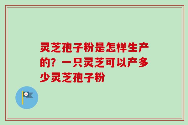灵芝孢子粉是怎样生产的？一只灵芝可以产多少灵芝孢子粉