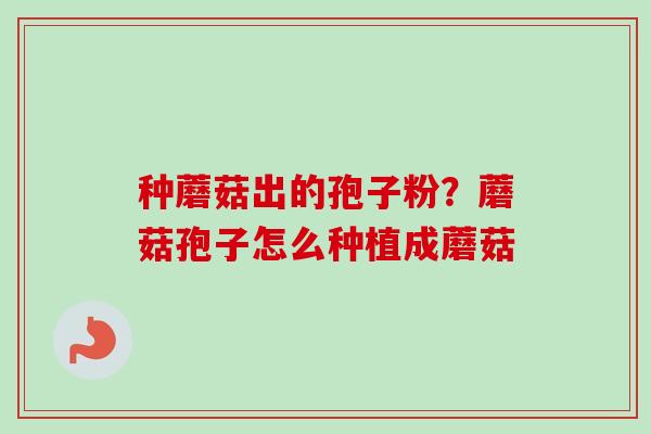 种蘑菇出的孢子粉？蘑菇孢子怎么种植成蘑菇