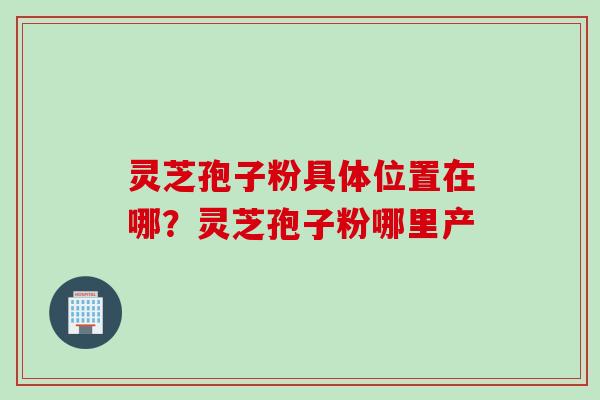 灵芝孢子粉具体位置在哪？灵芝孢子粉哪里产