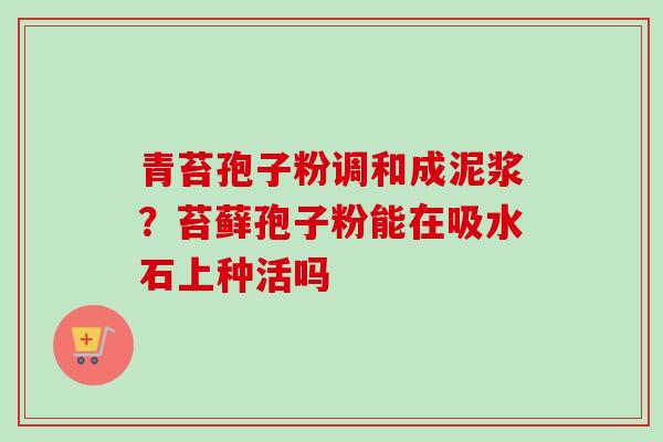 青苔孢子粉调和成泥浆？苔藓孢子粉能在吸水石上种活吗