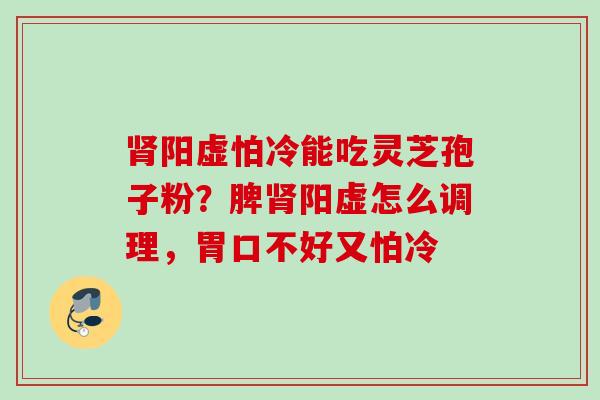 肾阳虚怕冷能吃灵芝孢子粉？脾肾阳虚怎么调理，胃口不好又怕冷