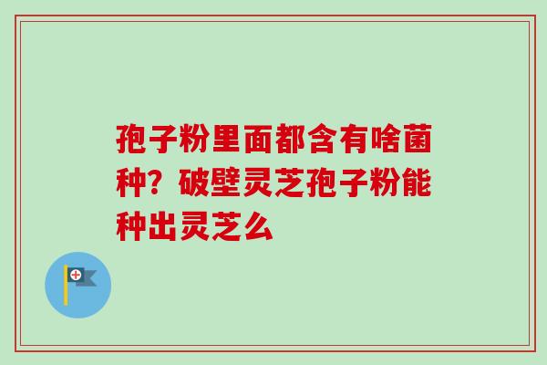 孢子粉里面都含有啥菌种?破壁灵芝孢子粉能种出灵芝么 孢子粉里面都含有啥菌种?破壁灵芝孢子粉能种出灵芝么