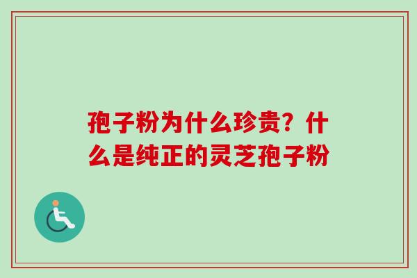 孢子粉为什么珍贵?什么是纯正的灵芝孢子粉 孢子粉为什么珍贵?什么是纯正的灵芝孢子粉