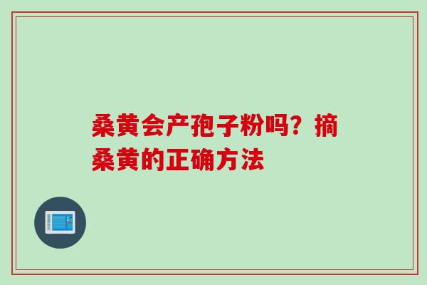 桑黄会产孢子粉吗?摘桑黄的正确方法 桑黄会产孢子粉吗?摘桑黄的正确方法