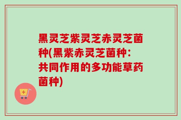黑灵芝紫灵芝赤灵芝菌种(黑紫赤灵芝菌种：共同作用的多功能草药菌种)