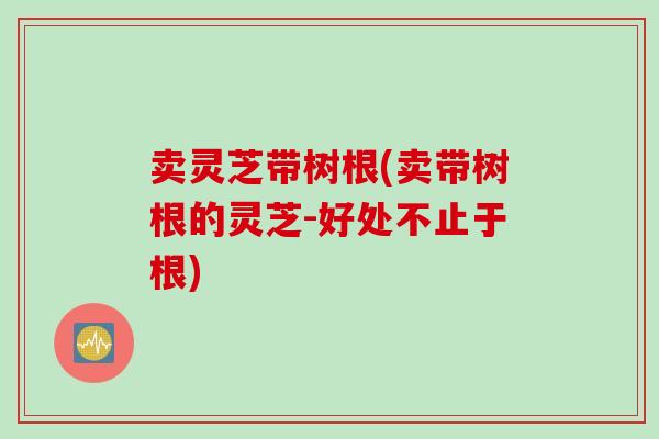 卖灵芝带树根(卖带树根的灵芝-好处不止于根)