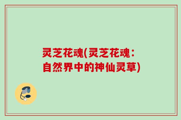 灵芝花魂(灵芝花魂：自然界中的神仙灵草)