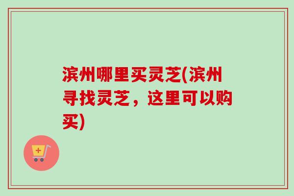 滨州哪里买灵芝(滨州寻找灵芝，这里可以购买)