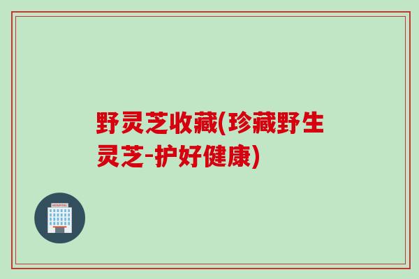 野灵芝收藏(珍藏野生灵芝-护好健康)