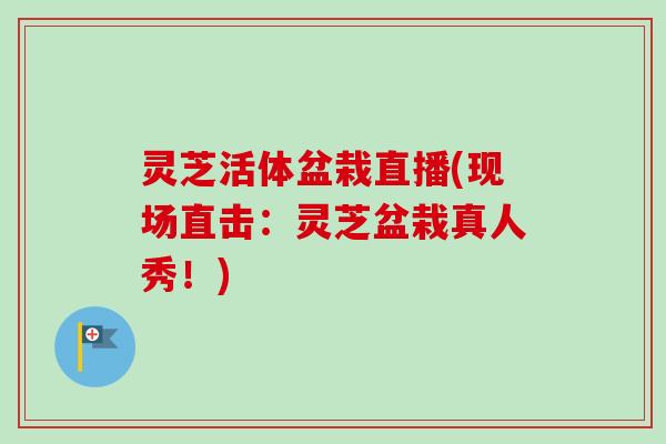 灵芝活体盆栽直播(现场直击：灵芝盆栽真人秀！)