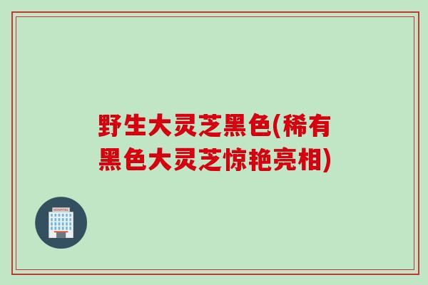野生大灵芝黑色(稀有黑色大灵芝惊艳亮相)