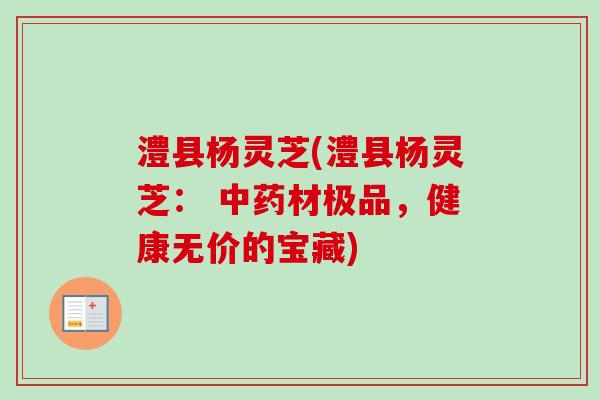 澧县杨灵芝(澧县杨灵芝： 中药材极品，健康无价的宝藏)