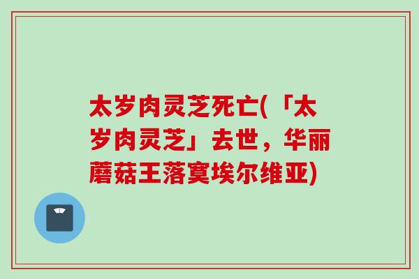 太岁肉灵芝死亡(「太岁肉灵芝」去世，华丽蘑菇王落寞埃尔维亚)