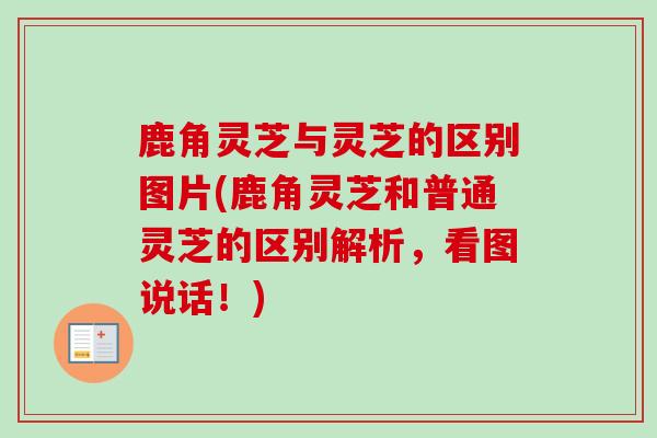 鹿角灵芝与灵芝的区别图片(鹿角灵芝和普通灵芝的区别解析，看图说话！)