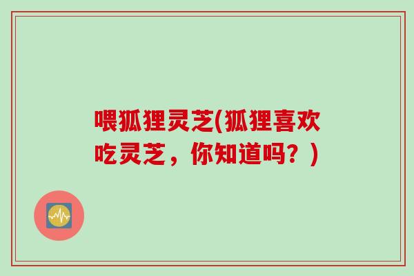 喂狐狸灵芝(狐狸喜欢吃灵芝,你知道吗?) 喂狐狸灵芝(狐狸喜欢吃灵芝,你知道吗?)