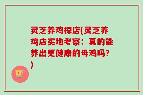 灵芝养鸡探店(灵芝养鸡店实地考察:真的能养出更健康的母鸡吗?) 灵芝养鸡探店(灵芝养鸡店实地考察:真的能养出更健康的母鸡吗?)